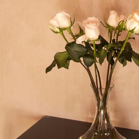 Rosas & Xocolate Boutique Hotel And Spa Merida, A Member Of Design Hotels Exterior foto